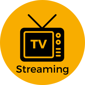 Picture of Servicio de Sala de Streaming